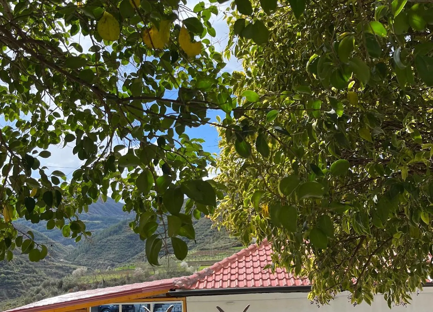 Canyon'S House Zhaban 0*,  Arnavutluk